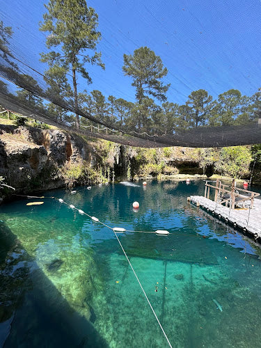 Manatee Riving Center Classic Crystal River Manatee Tour – American Pro Diving Center Crystal ...
