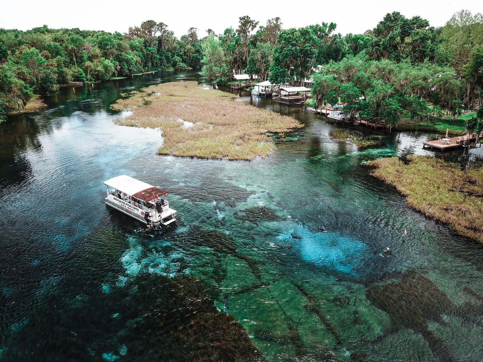 Rainbow River Snorkel Or Dive – American Pro Diving Center Crystal River