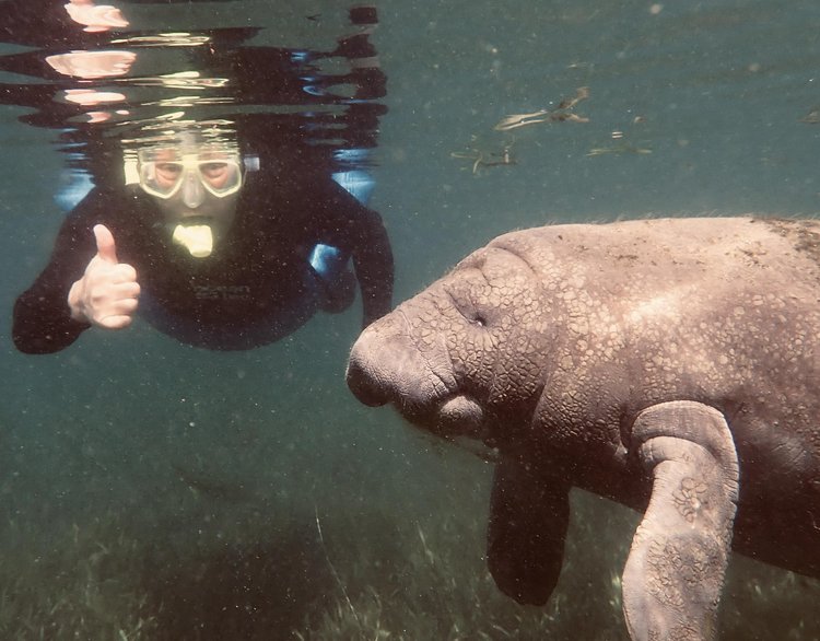 Manatee Riving Center Classic Manatee Tour – American Pro Diving Center Crystal River